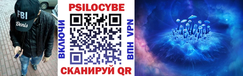 где продают   Тольятти  Псилоцибиновые грибы Cubensis 